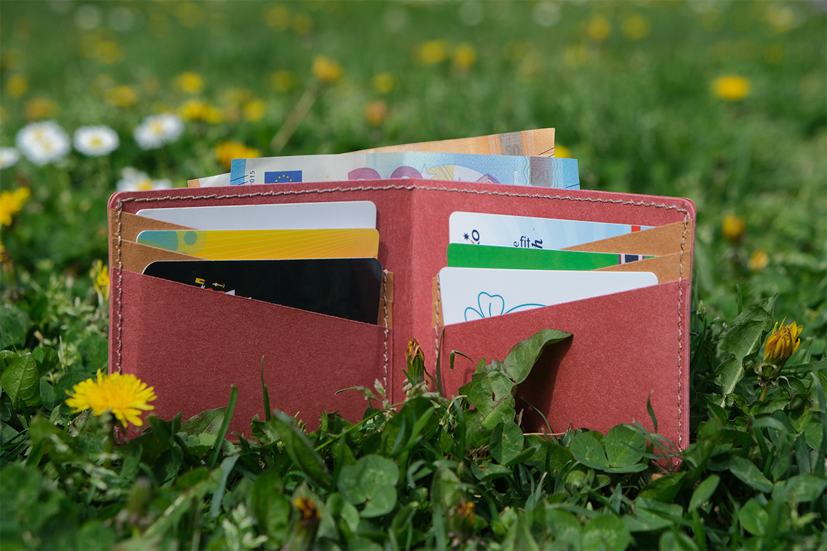 Classic Wallet | Red &amp; Brown2.jpg