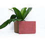 Classic Wallet | Red & Brown 1 Front white.jpg