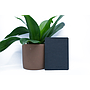 Micro Wallet | Black & Green 1.jpg